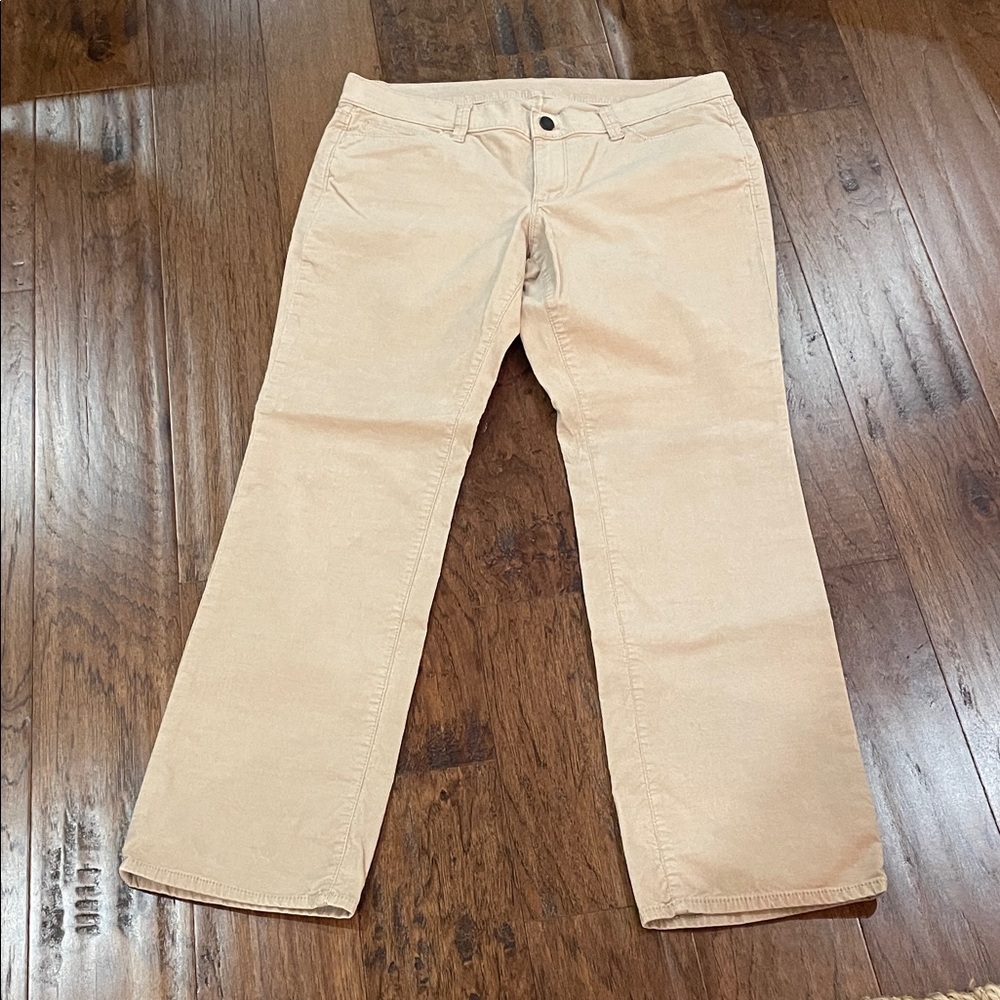 Women’s Ann TaylorTan Pants